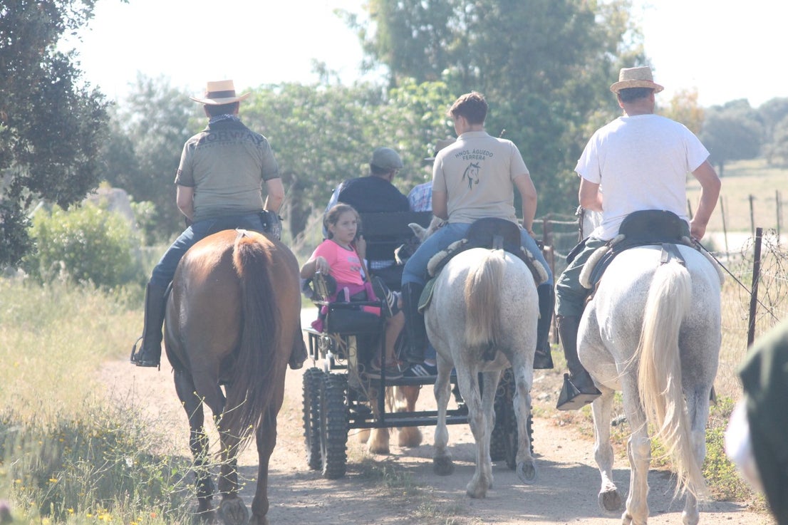 Imágenes de las actividades desarrolladas el domingo en la novena edición de 'vive la Trashumancia' (05-05-2019)