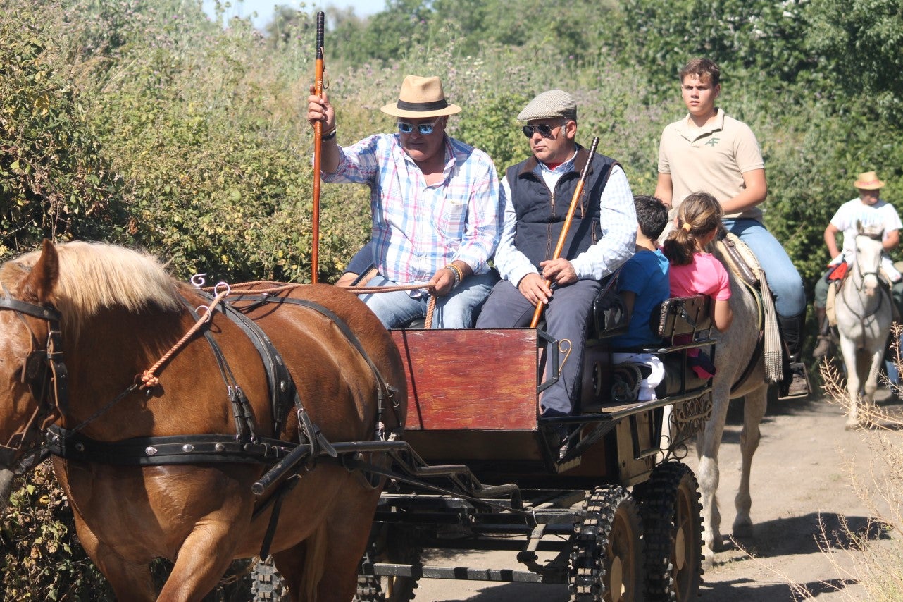 Imágenes de las actividades desarrolladas el domingo en la novena edición de 'vive la Trashumancia' (05-05-2019)