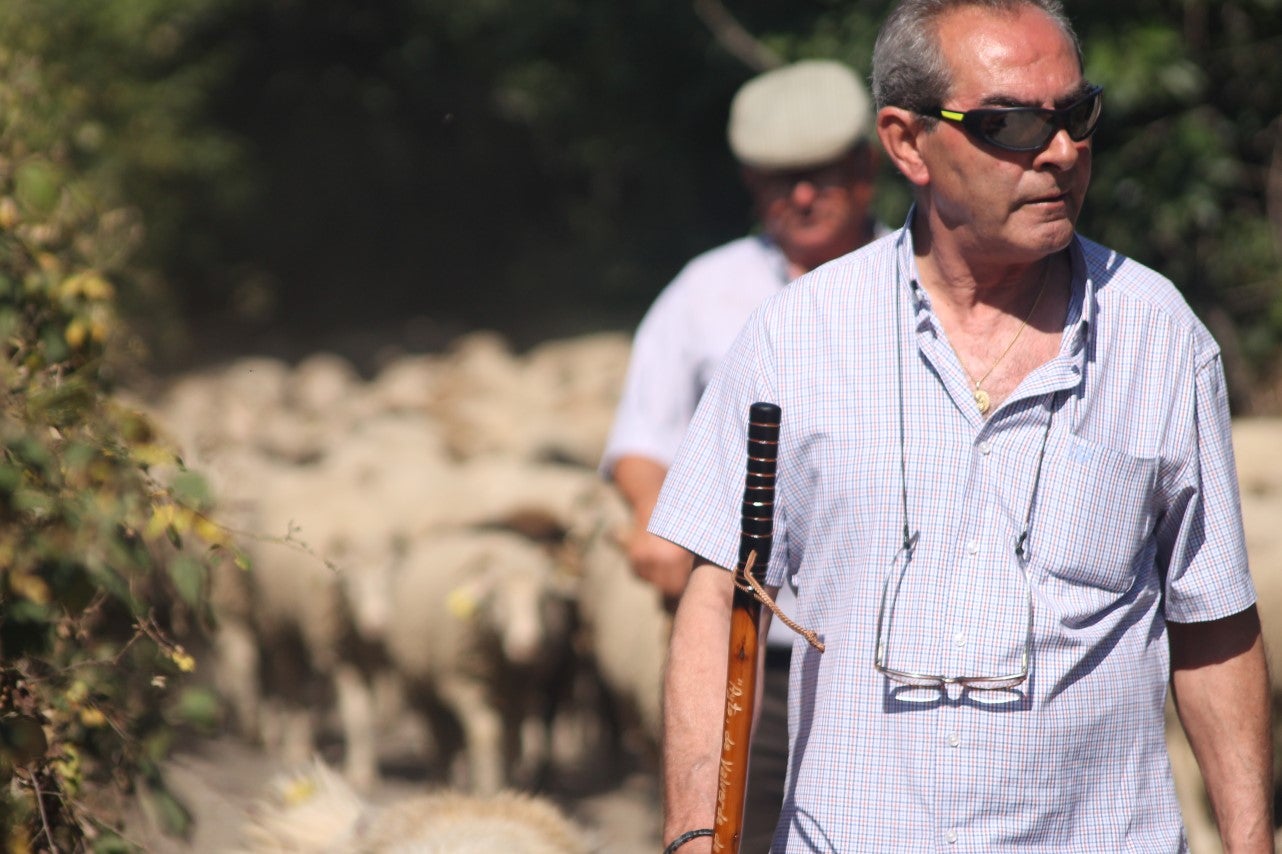 Imágenes de las actividades desarrolladas el domingo en la novena edición de 'vive la Trashumancia' (05-05-2019)