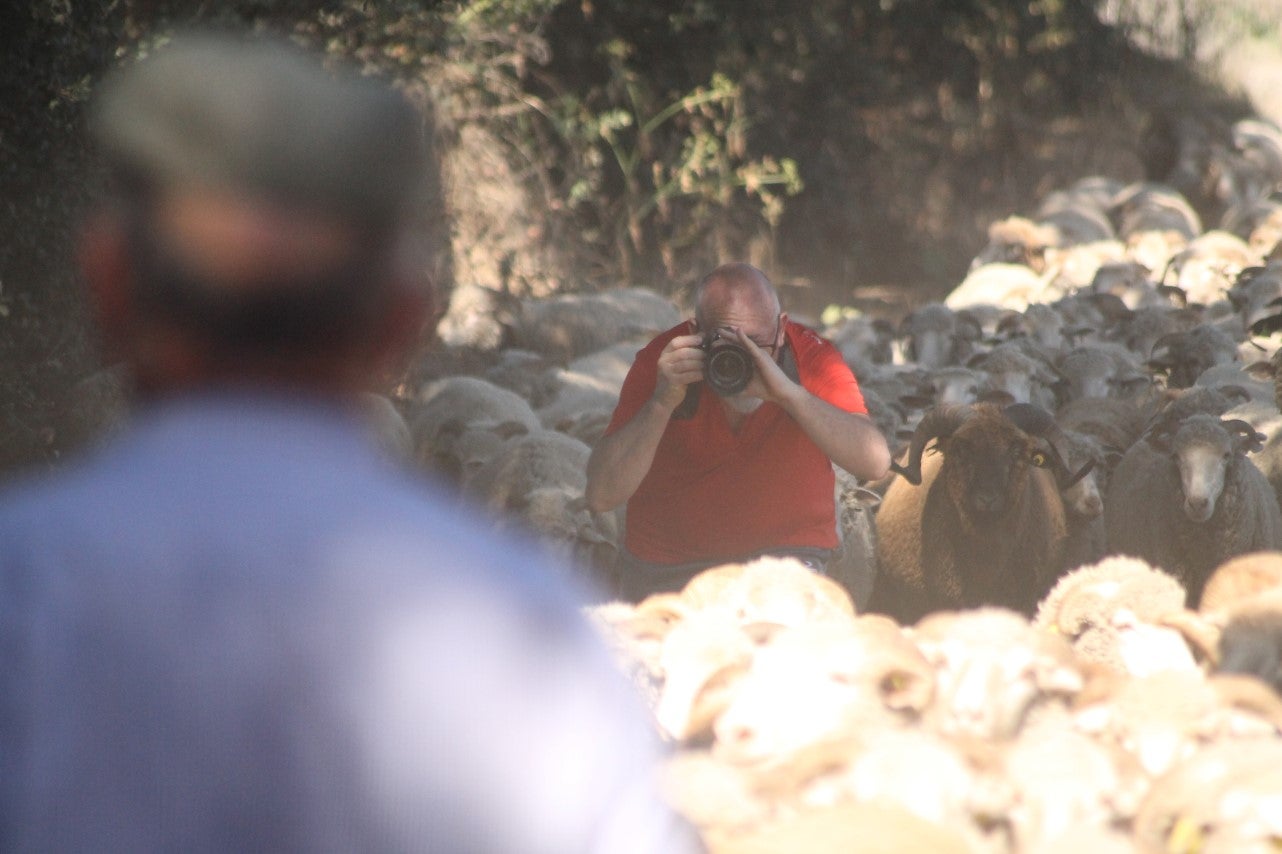 Imágenes de las actividades desarrolladas el domingo en la novena edición de 'vive la Trashumancia' (05-05-2019)