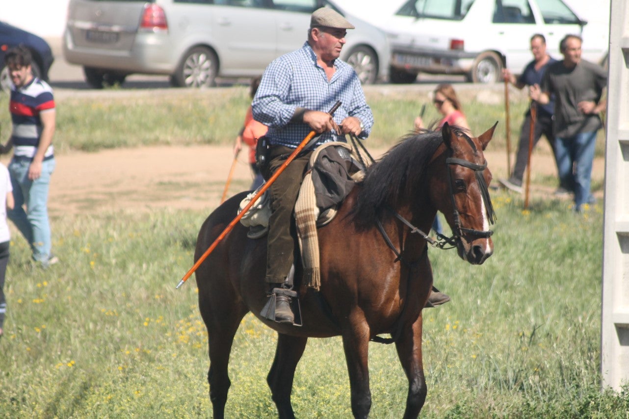 Imágenes de las actividades desarrolladas el domingo en la novena edición de 'vive la Trashumancia' (05-05-2019)