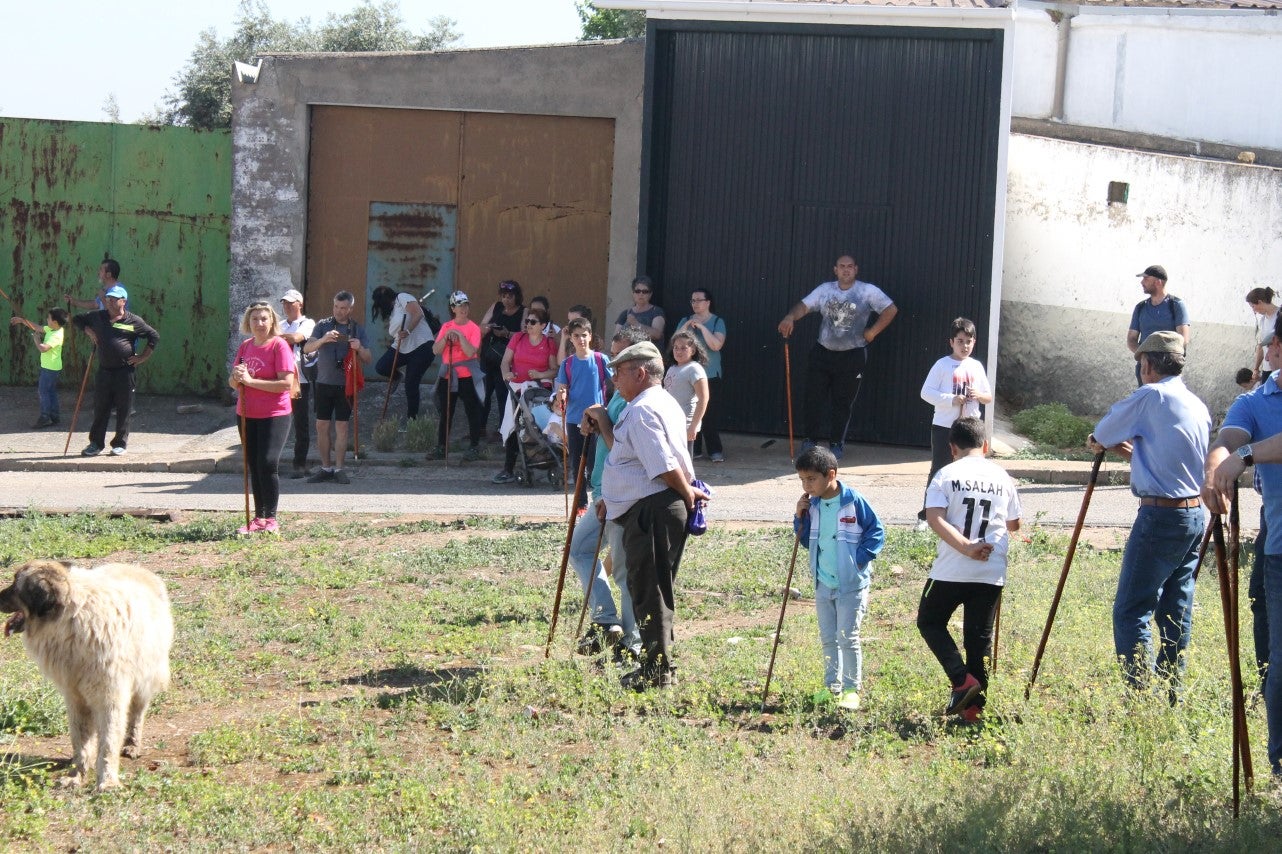 Imágenes de las actividades desarrolladas el domingo en la novena edición de 'vive la Trashumancia' (05-05-2019)
