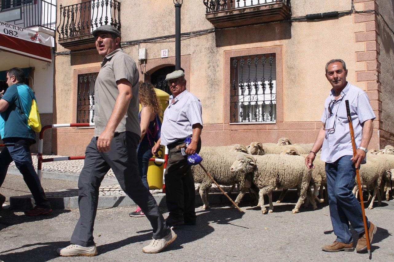 Imágenes de las actividades desarrolladas el domingo en la novena edición de 'vive la Trashumancia' (05-05-2019)