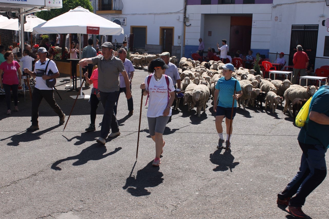 Imágenes de las actividades desarrolladas el domingo en la novena edición de 'vive la Trashumancia' (05-05-2019)