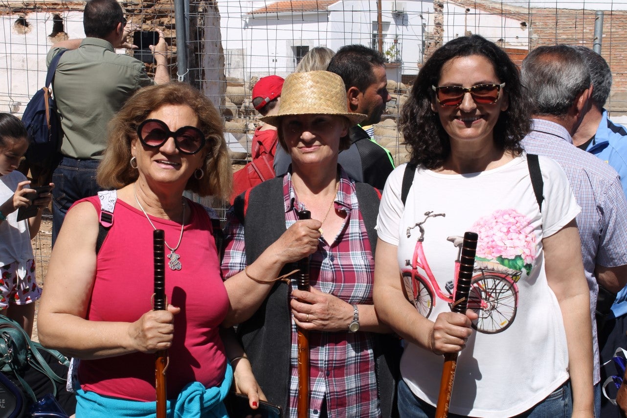 Imágenes de las actividades desarrolladas el domingo en la novena edición de 'vive la Trashumancia' (05-05-2019)