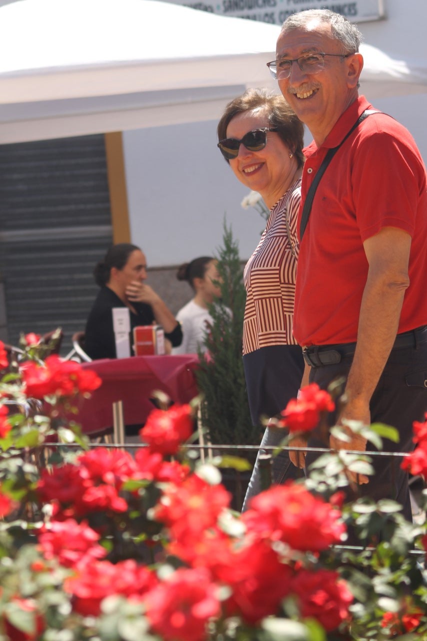 Imágenes de las actividades desarrolladas el domingo en la novena edición de 'vive la Trashumancia' (05-05-2019)