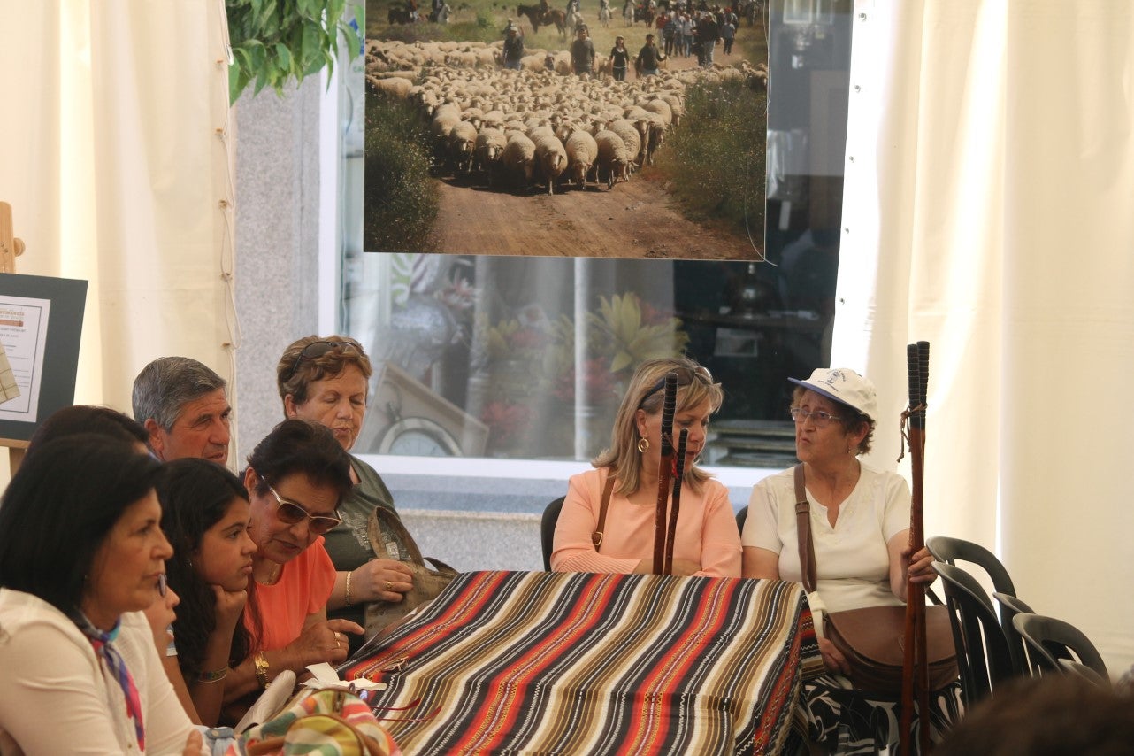 Imágenes de las actividades desarrolladas el domingo en la novena edición de 'vive la Trashumancia' (05-05-2019)