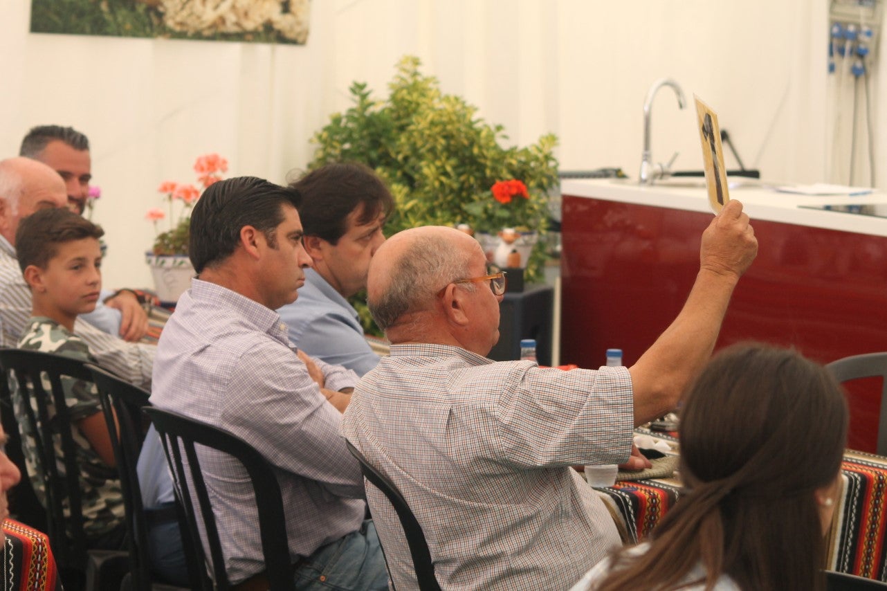Imágenes de las actividades desarrolladas el domingo en la novena edición de 'vive la Trashumancia' (05-05-2019)