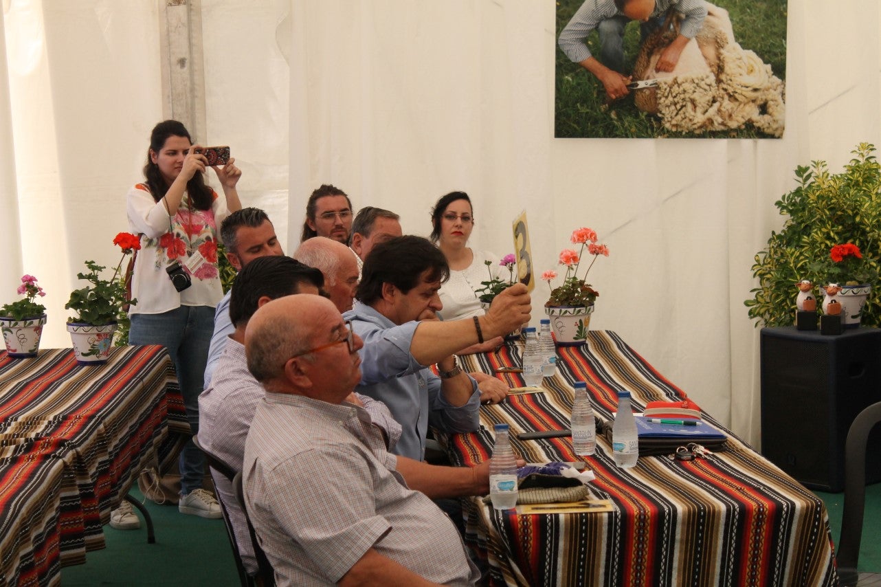 Imágenes de las actividades desarrolladas el domingo en la novena edición de 'vive la Trashumancia' (05-05-2019)