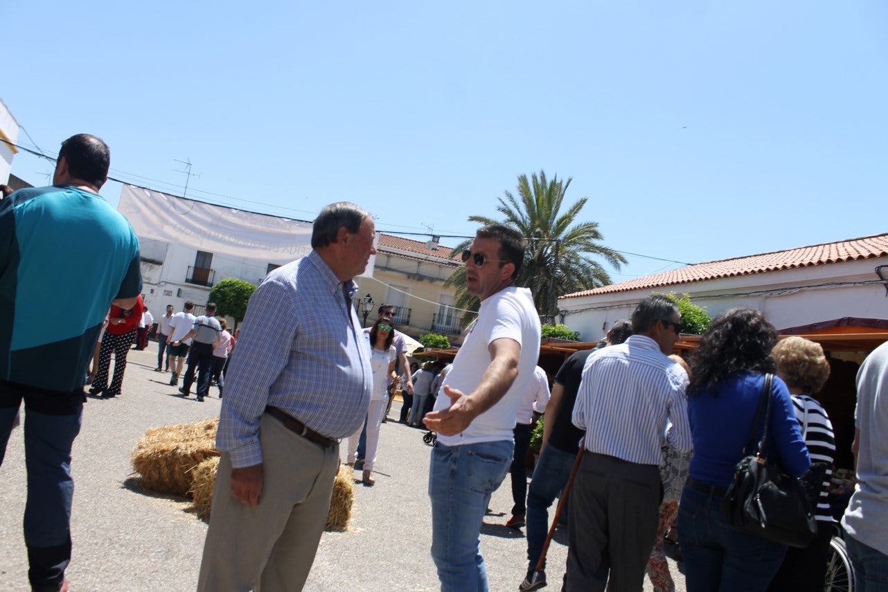 Imágenes de las actividades desarrolladas el domingo en la novena edición de 'vive la Trashumancia' (05-05-2019)