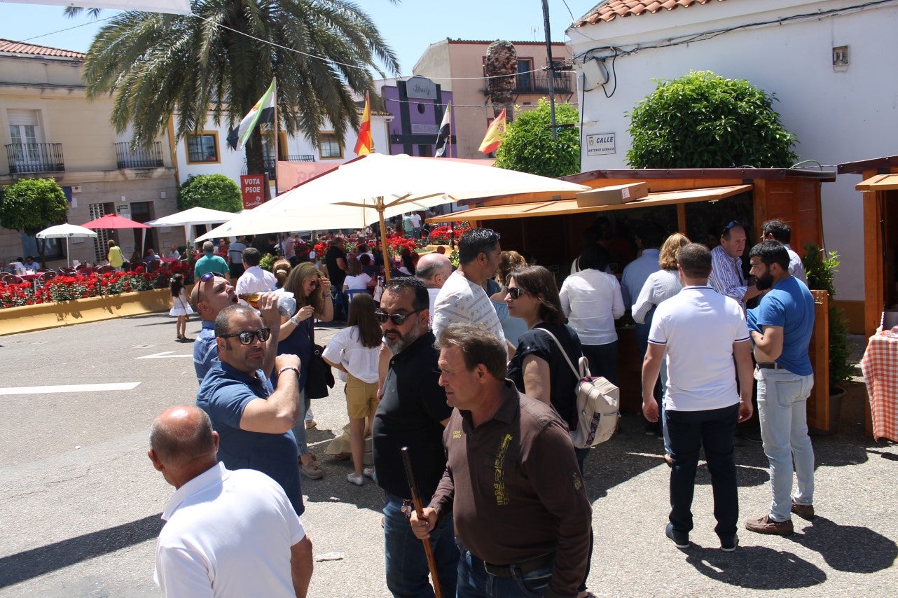 Imágenes de las actividades desarrolladas el domingo en la novena edición de 'vive la Trashumancia' (05-05-2019)
