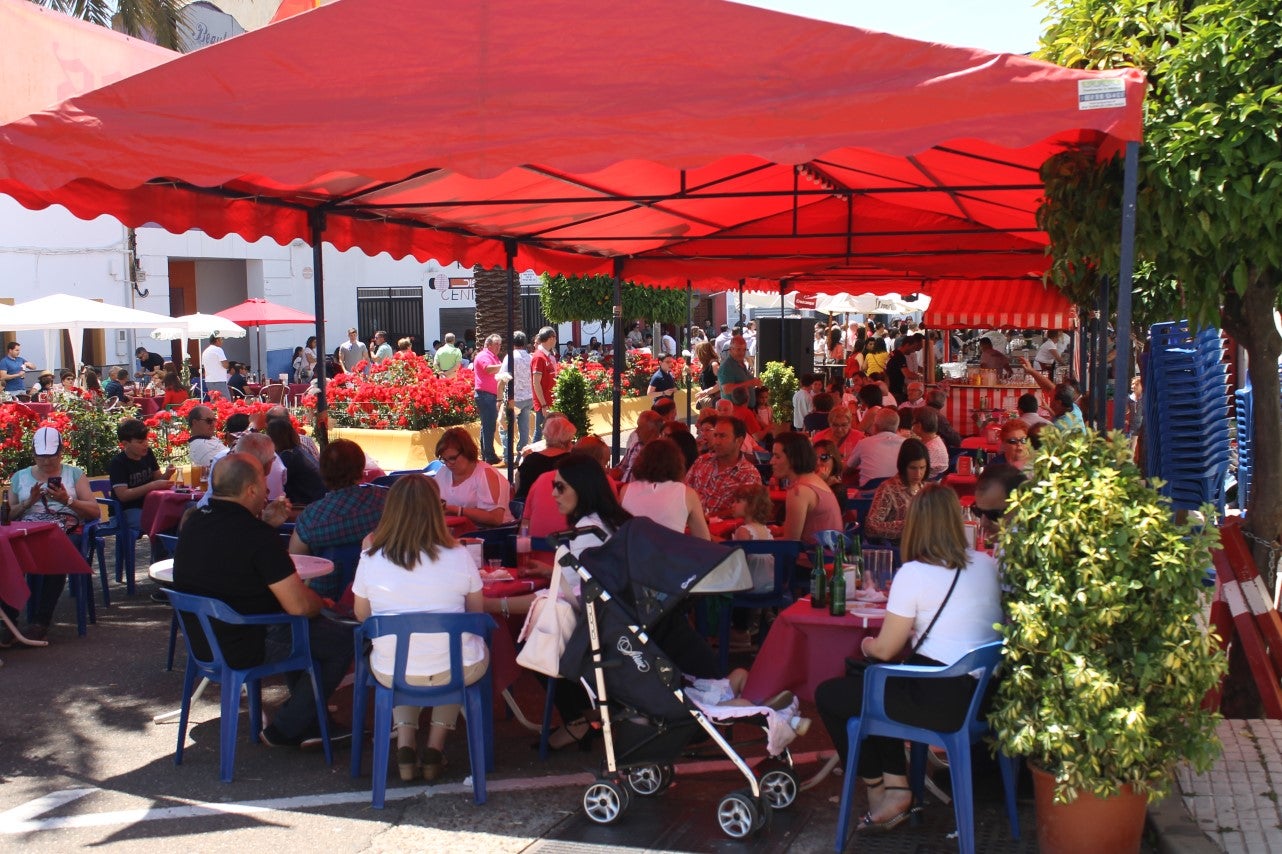 Imágenes de las actividades desarrolladas el domingo en la novena edición de 'vive la Trashumancia' (05-05-2019)