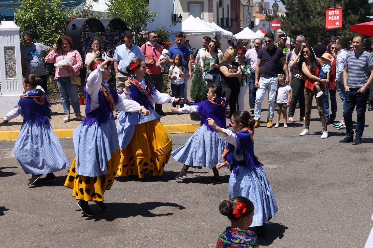 Imágenes de las actividades desarrolladas el domingo en la novena edición de 'vive la Trashumancia' (05-05-2019)