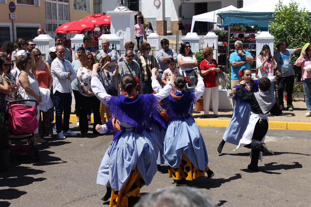 Imágenes de las actividades desarrolladas el domingo en la novena edición de 'vive la Trashumancia' (05-05-2019)