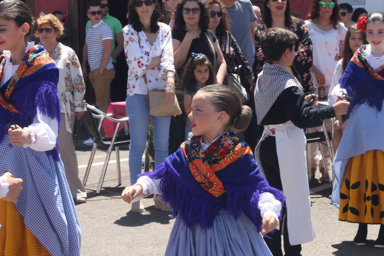 Imágenes de las actividades desarrolladas el domingo en la novena edición de 'vive la Trashumancia' (05-05-2019)