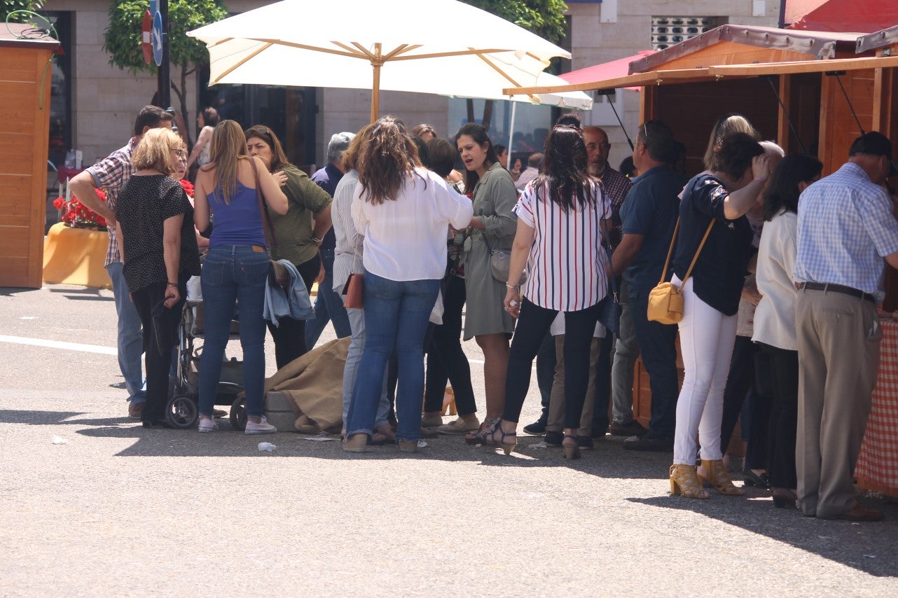 Imágenes de las actividades desarrolladas el domingo en la novena edición de 'vive la Trashumancia' (05-05-2019)
