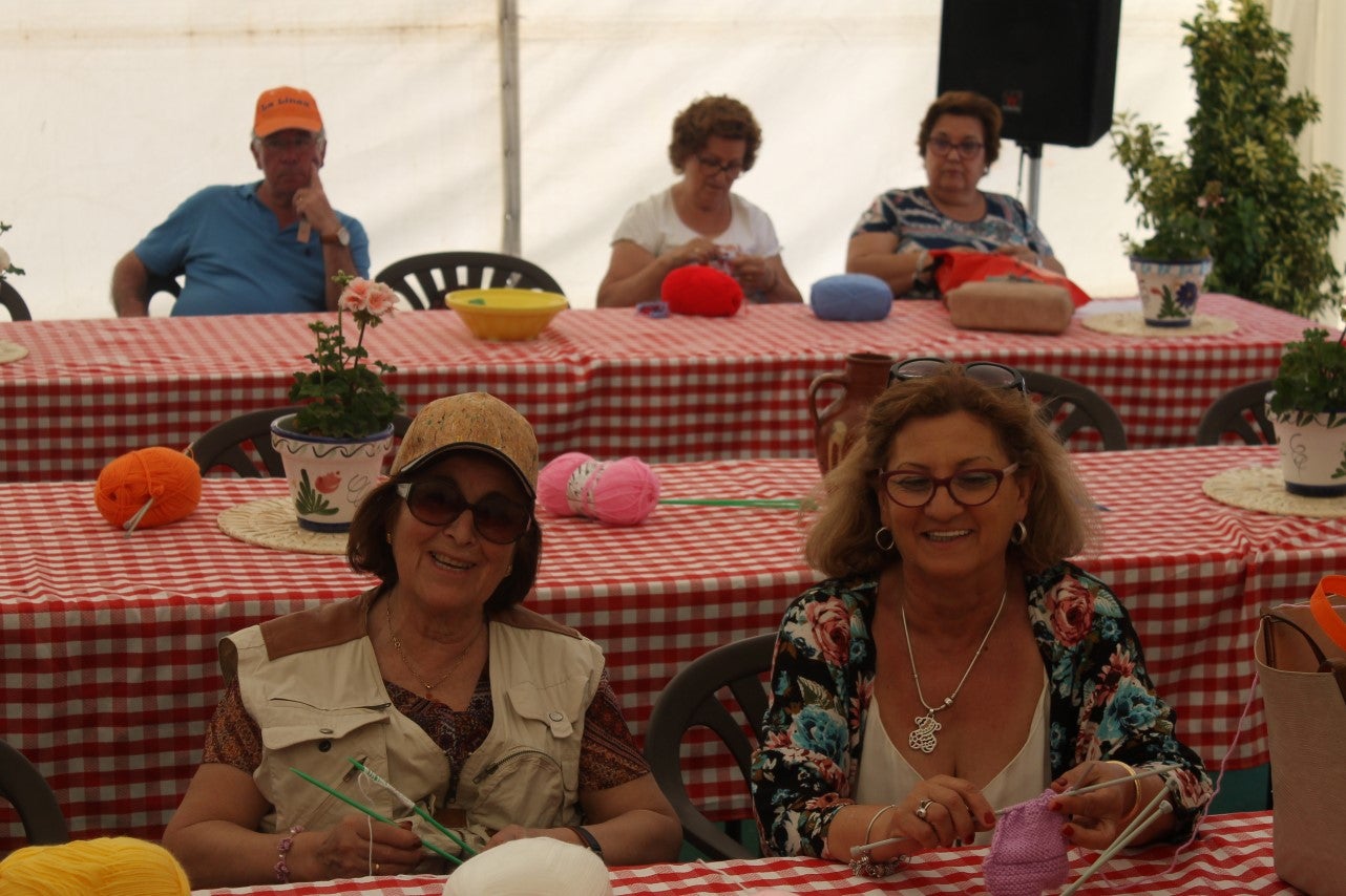 Imágenes de las actividades desarrolladas el domingo en la novena edición de 'vive la Trashumancia' (05-05-2019)