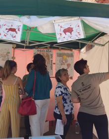 Imagen secundaria 2 - Algunas de las actividades organizadas