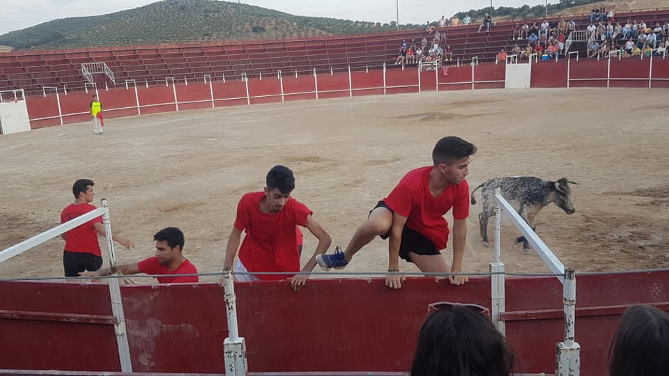 Algunas imágenes de las actividades del domingo de las Ferias y Fiestas de San Bartolomé 2018 (25-08-2019)