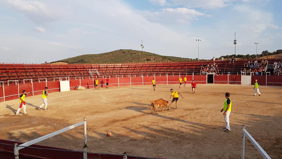 Algunas imágenes de las actividades del domingo de las Ferias y Fiestas de San Bartolomé 2018 (25-08-2019)