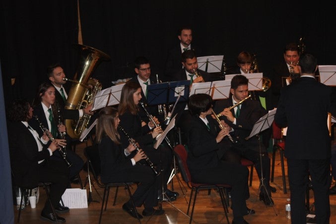 Fotos: Concierto de Santa Cecilia