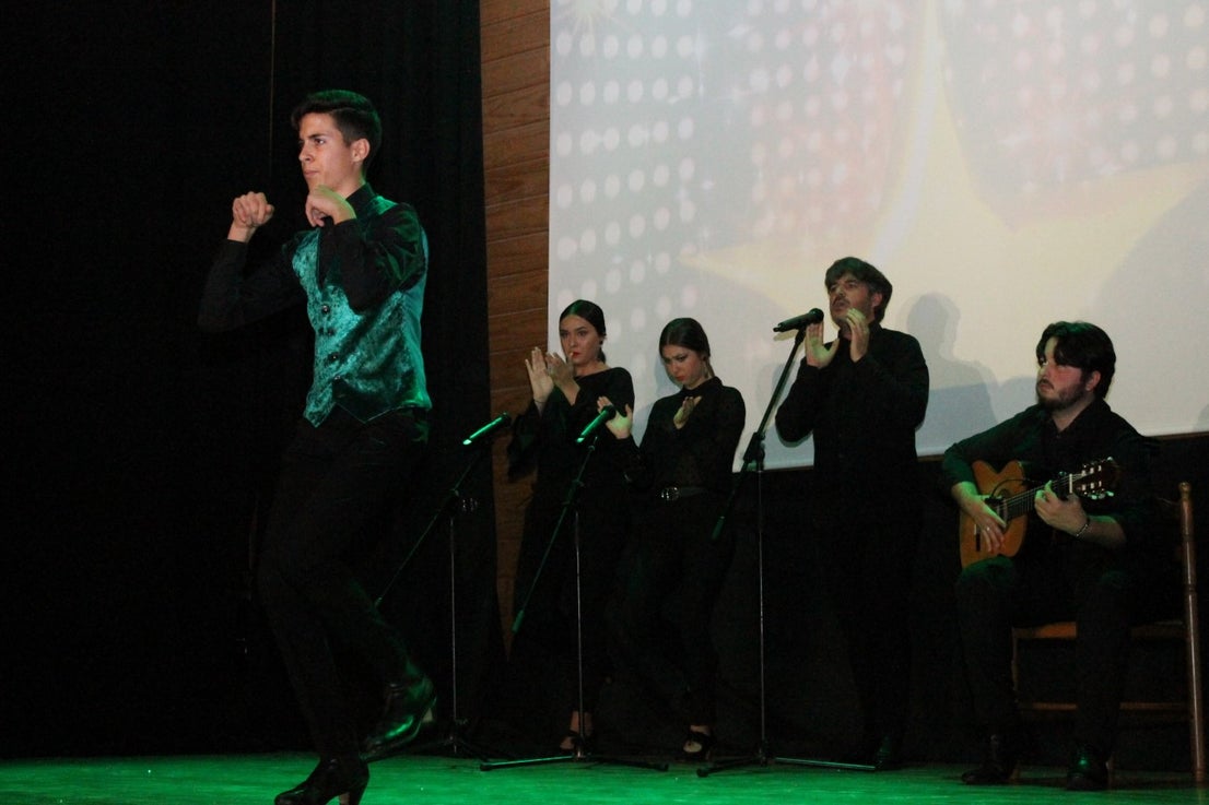 Fotos: Concurso de Jóvenes Talentos Fevalpop 2019 (II)