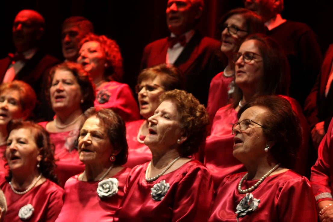 Fotos: Concierto de Villancicos 2019 (II)