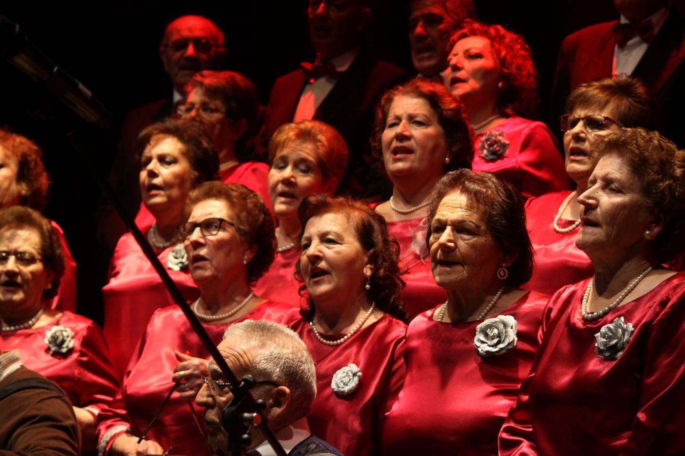 Fotos: Concierto de Villancicos 2019 (II)