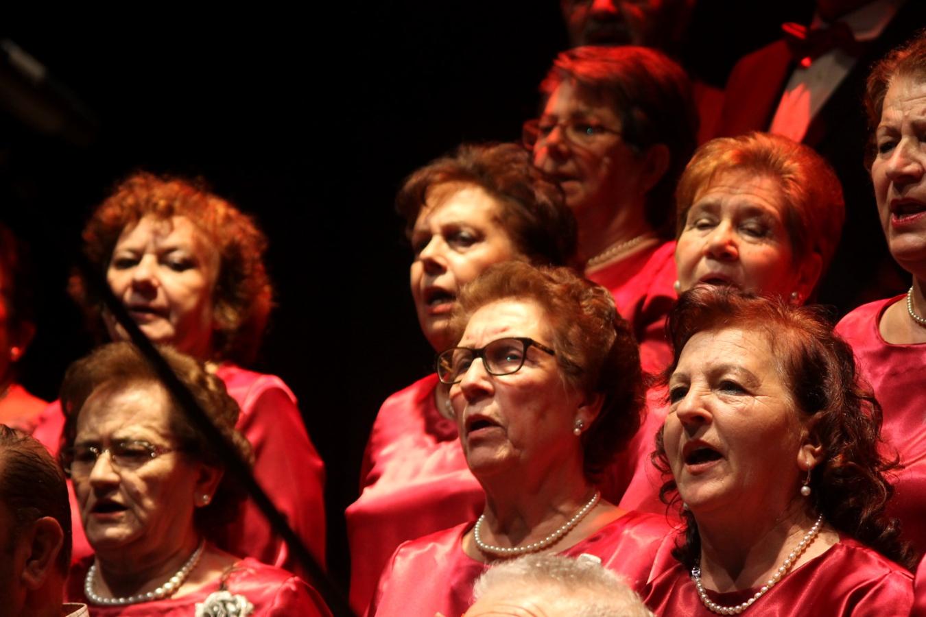 Fotos: Concierto de Villancicos 2019 (II)