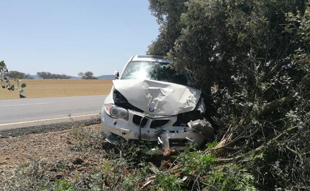 El vhículo colisionó fuertemente con un árbol