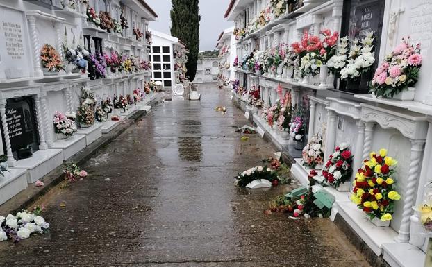 Centros florales por el suelo en el cementerio