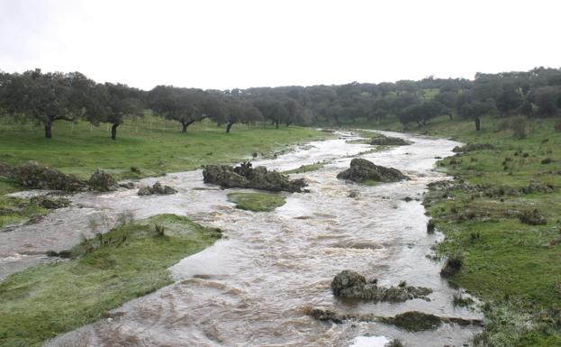 Caudal de la Rivera al cruzar la carretera de Táliga