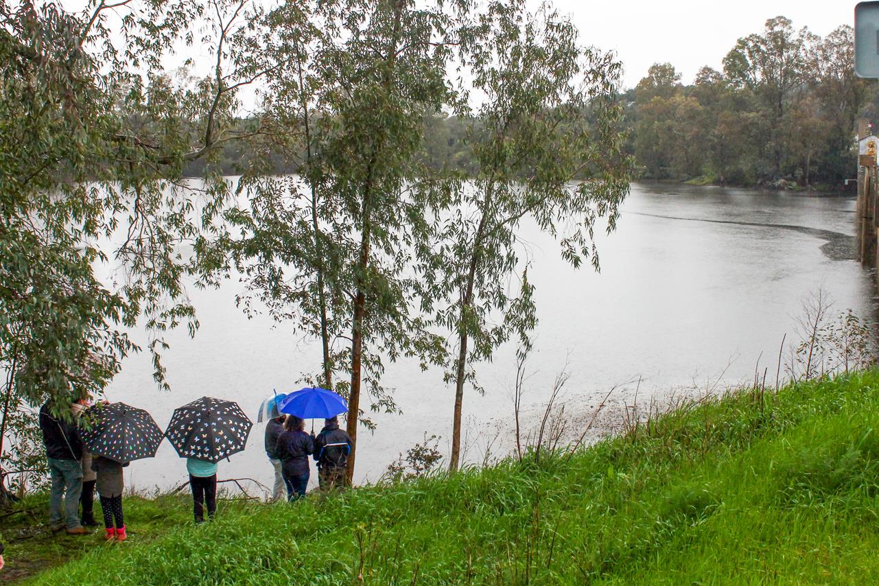 Fotos: Pantano de Piedra Aguda
