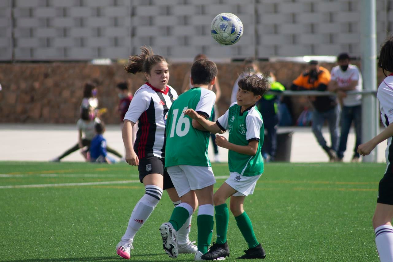 Fotos: Alevín B – Badajoz F