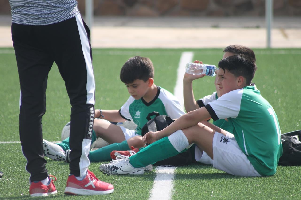Fotos: Alevín B – Badajoz F