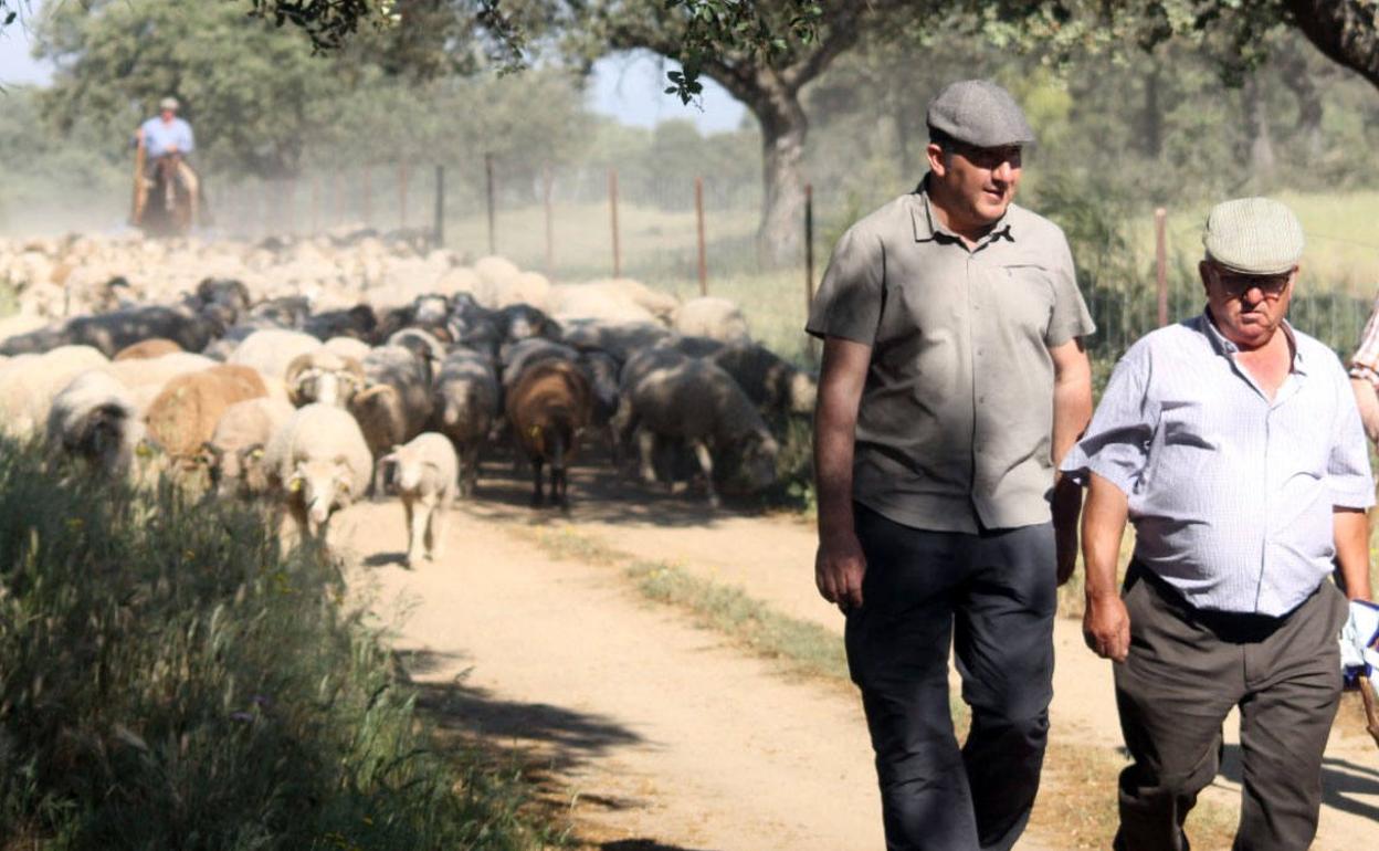 La pandemia no detiene los caminos trashumantes