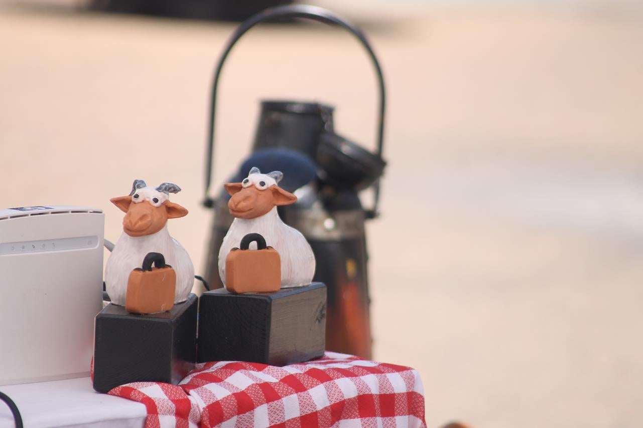 Fotos: X ‘Vive la Trashumancia’ (I)