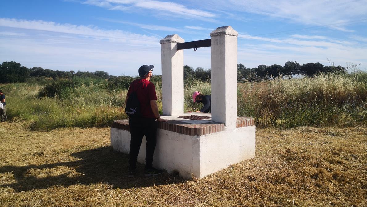 Fotos: X ‘Vive la Trashumancia’ (II)