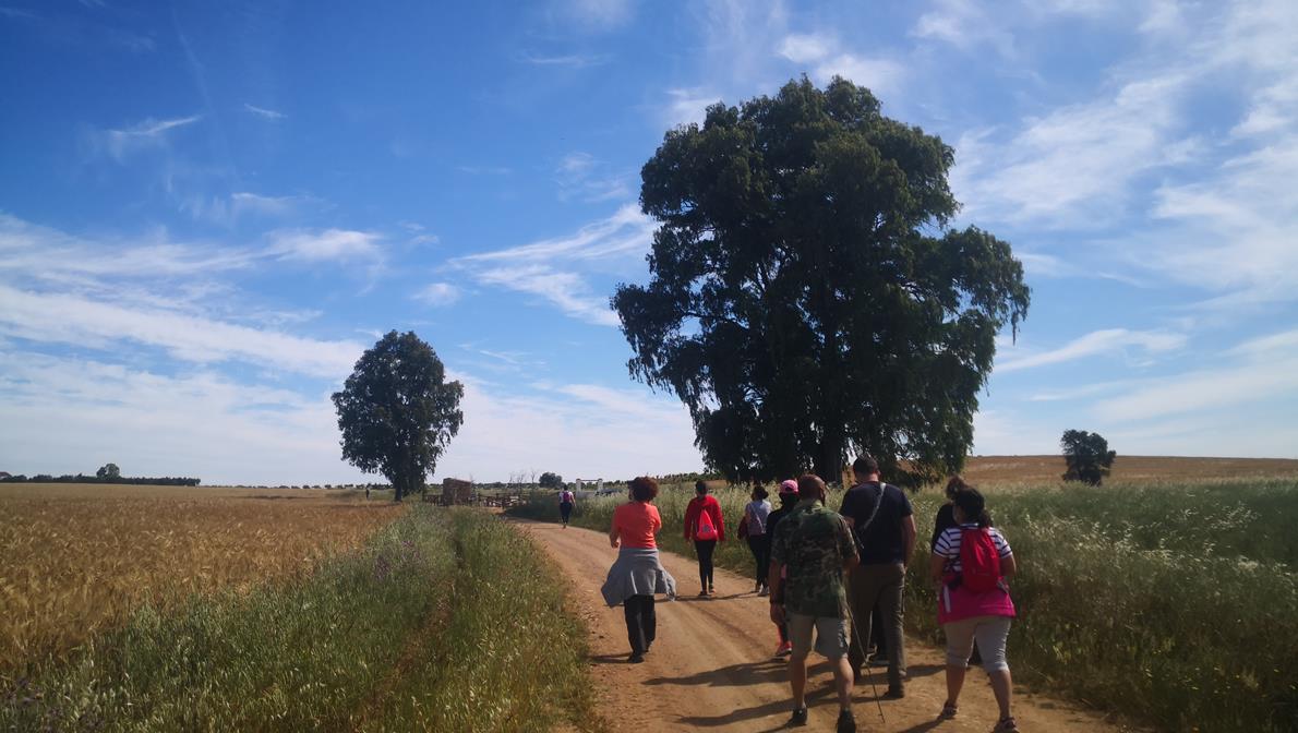 Fotos: X ‘Vive la Trashumancia’ (II)