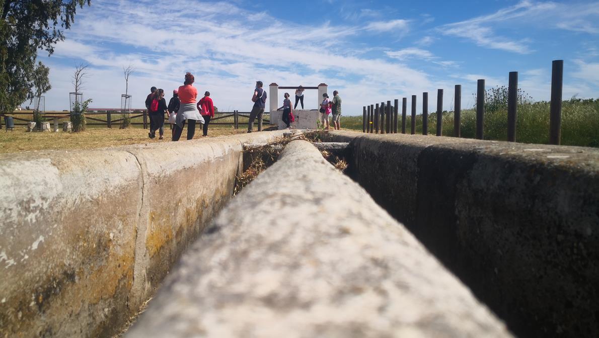 Fotos: X ‘Vive la Trashumancia’ (II)