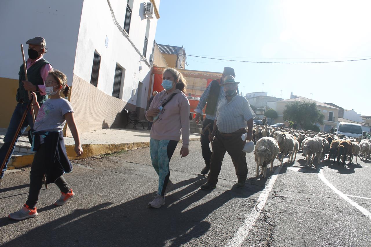 Fotos: X ‘Vive la Trashumancia’ (III)