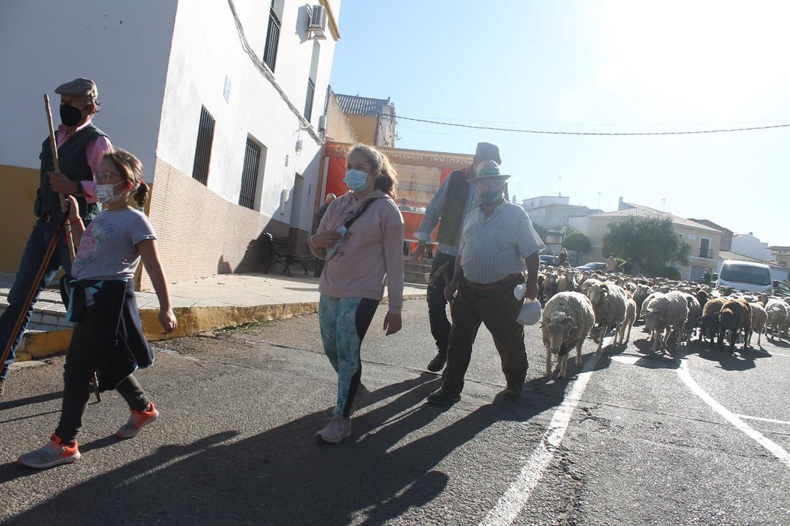 Fotos: X ‘Vive la Trashumancia’ (III)