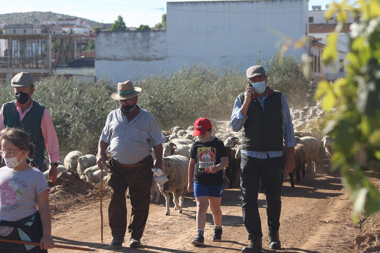 Fotos: X ‘Vive la Trashumancia’ (III)