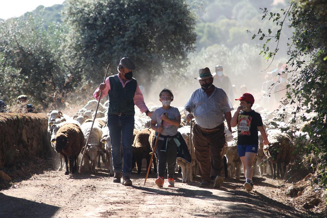 Fotos: X ‘Vive la Trashumancia’ (IV)