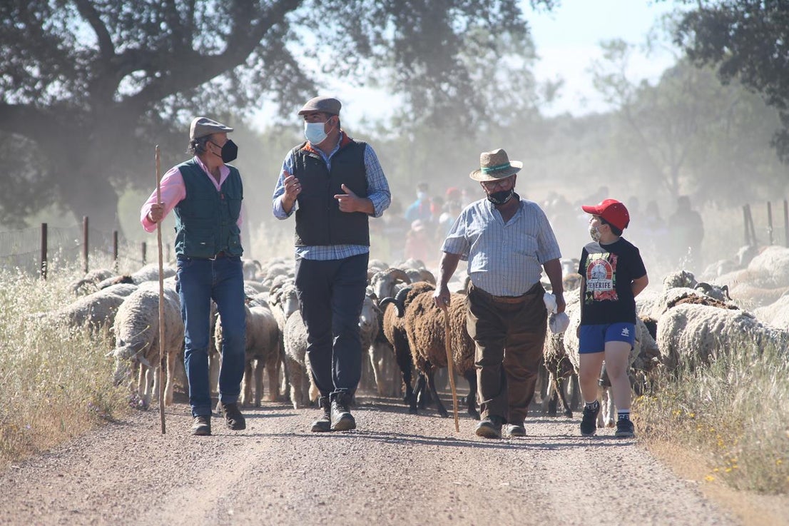 Fotos: X ‘Vive la Trashumancia’ (IV)