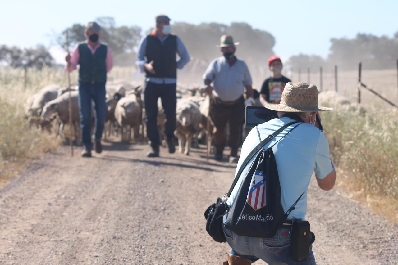 Fotos: X ‘Vive la Trashumancia’ (IV)