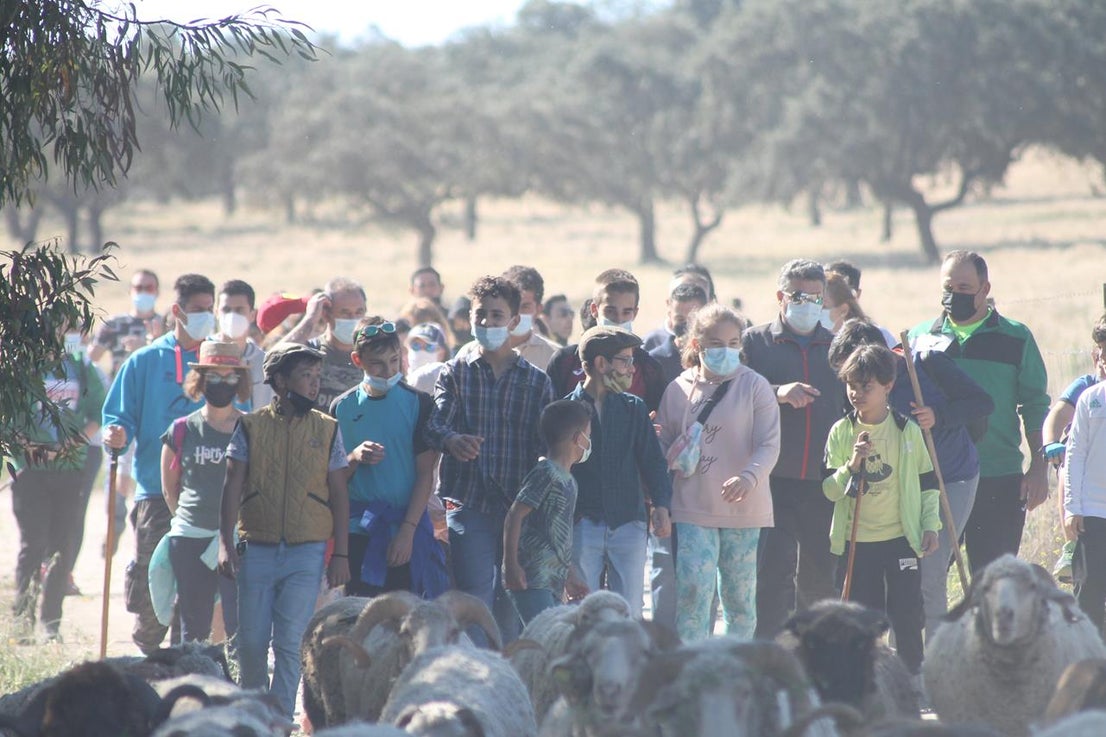 Fotos: X ‘Vive la Trashumancia’ (IV)