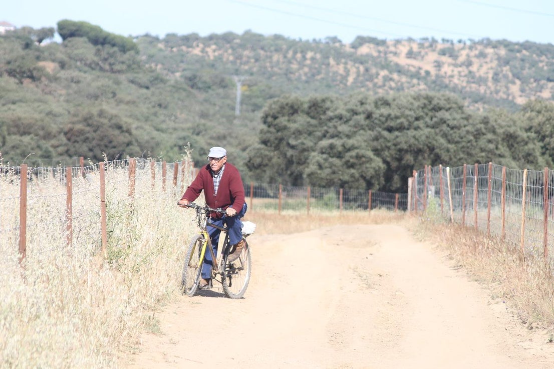 Fotos: X ‘Vive la Trashumancia’ (IV)