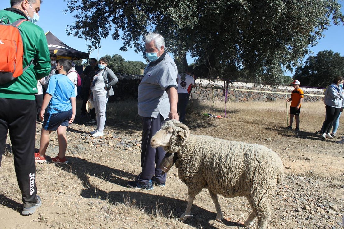 Fotos: X ‘Vive la Trashumancia’ (IV)