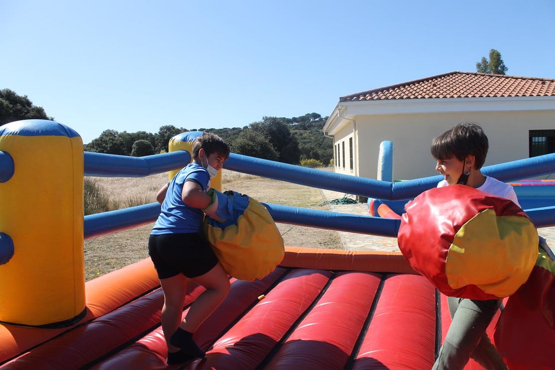 Fotos: X ‘Vive la Trashumancia’ (IV)